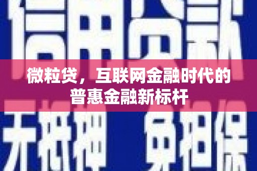 山西微粒贷，互联网金融时代的普惠金融新标杆