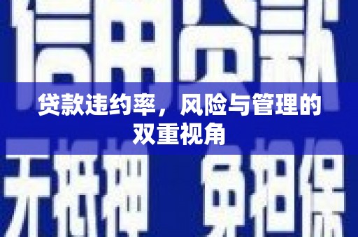 山西贷款违约率，风险与管理的双重视角