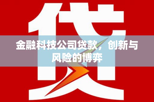 山西金融科技公司贷款，创新与风险的博弈