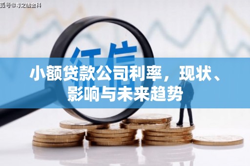 山西小额贷款公司利率，现状、影响与未来趋势