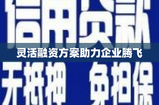 山西灵活融资方案助力企业腾飞
