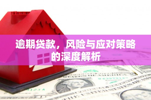 山西逾期贷款，风险与应对策略的深度解析