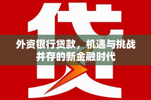 山西外资银行贷款，机遇与挑战并存的新金融时代