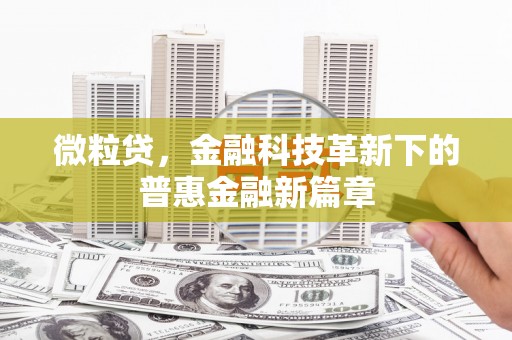 山西微粒贷，金融科技革新下的普惠金融新篇章