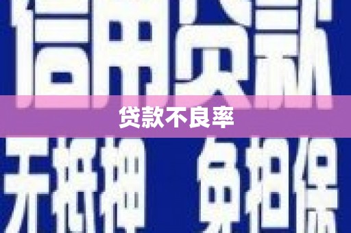 山西贷款不良率