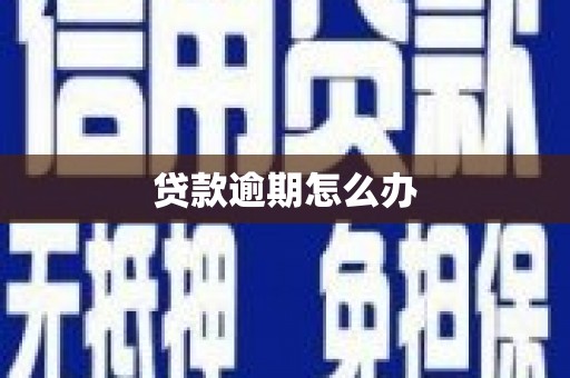 山西贷款逾期怎么办