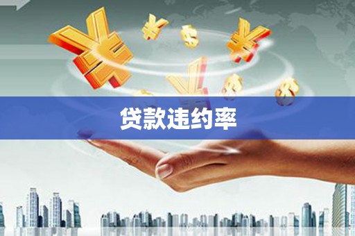 山西贷款违约率