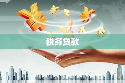 山西税务贷款