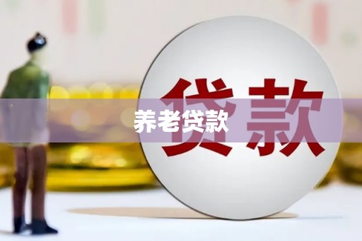 山西养老贷款