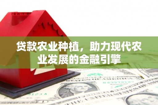 山西贷款农业种植，助力现代农业发展的金融引擎