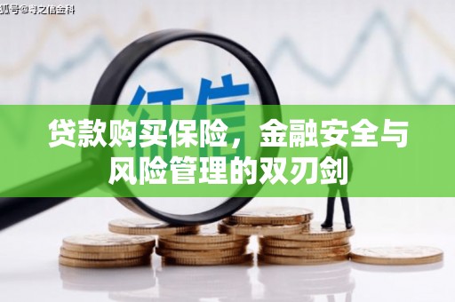 山西贷款购买保险，金融安全与风险管理的双刃剑