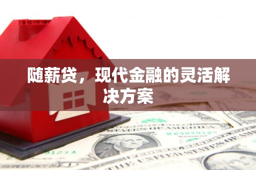 山西随薪贷，现代金融的灵活解决方案