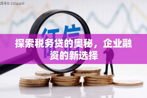 山西探索税务贷的奥秘，企业融资的新选择