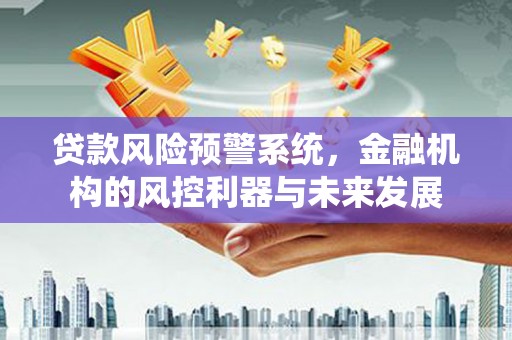 山西贷款风险预警系统，金融机构的风控利器与未来发展