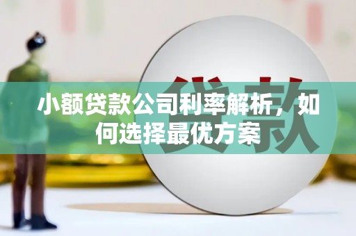 山西小额贷款公司利率解析，如何选择最优方案