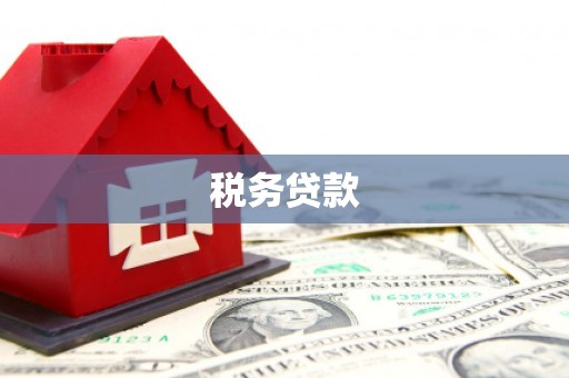 山西税务贷款