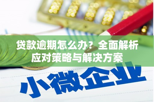 山西贷款逾期怎么办？全面解析应对策略与解决方案