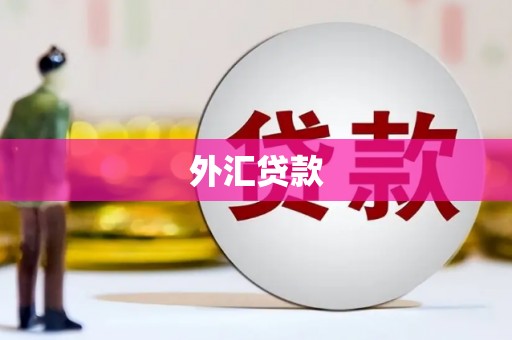 山西外汇贷款