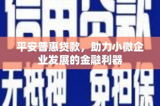 山西平安普惠贷款，助力小微企业发展的金融利器