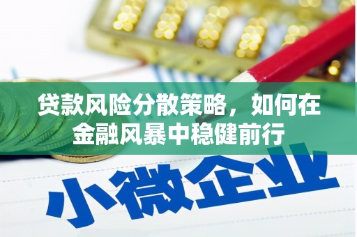 山西贷款风险分散策略，如何在金融风暴中稳健前行