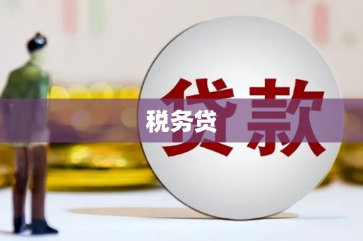 山西税务贷