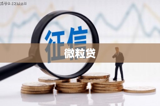 山西微粒贷