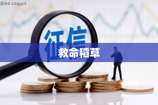 山西救命稻草