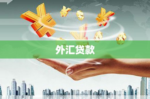 山西外汇贷款