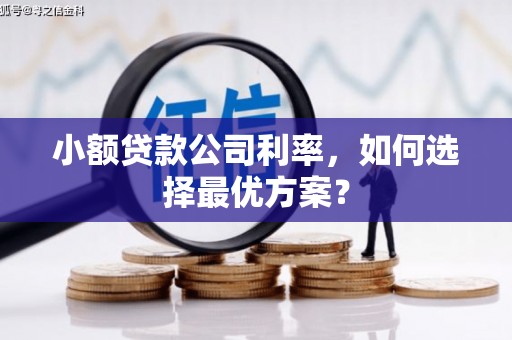 山西小额贷款公司利率，如何选择最优方案？