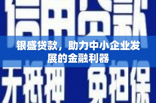 山西银盛贷款，助力中小企业发展的金融利器