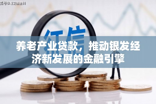 山西养老产业贷款，推动银发经济新发展的金融引擎