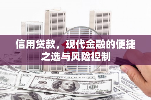 山西信用贷款，现代金融的便捷之选与风险控制