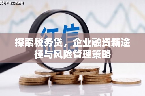 山西探索税务贷，企业融资新途径与风险管理策略
