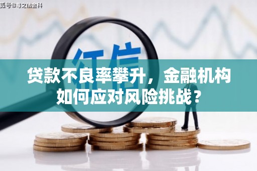 山西贷款不良率攀升，金融机构如何应对风险挑战？