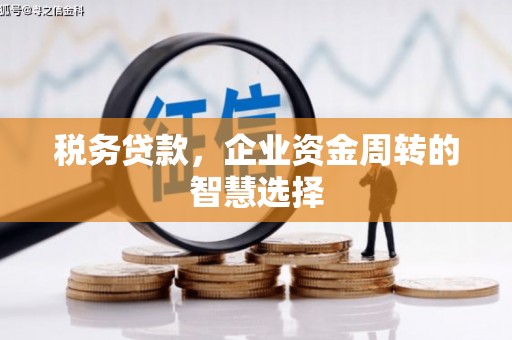 山西税务贷款，企业资金周转的智慧选择