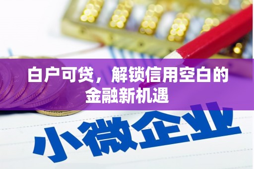 山西白户可贷，解锁信用空白的金融新机遇