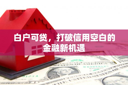 山西白户可贷，打破信用空白的金融新机遇