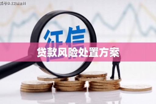 山西贷款风险处置方案