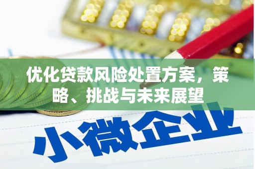 山西优化贷款风险处置方案，策略、挑战与未来展望