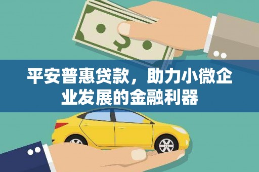 山西平安普惠贷款，助力小微企业发展的金融利器