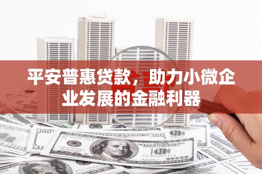 山西平安普惠贷款，助力小微企业发展的金融利器