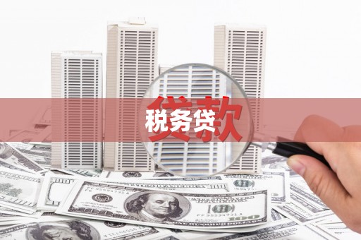 山西税务贷