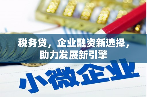 山西税务贷，企业融资新选择，助力发展新引擎