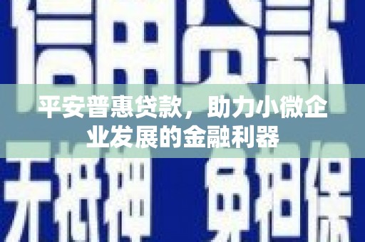 山西平安普惠贷款，助力小微企业发展的金融利器