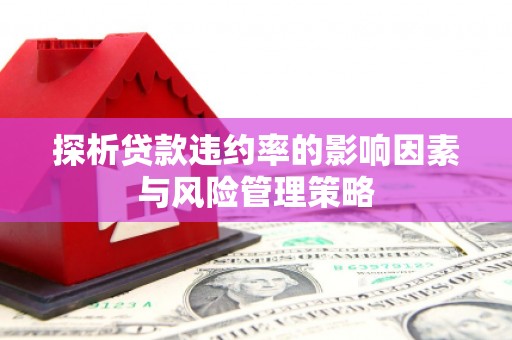 山西探析贷款违约率的影响因素与风险管理策略