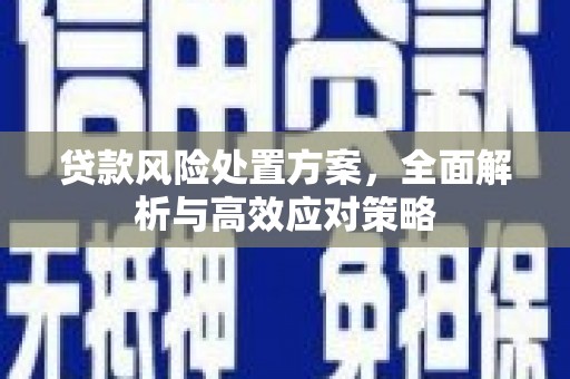 山西贷款风险处置方案，全面解析与高效应对策略