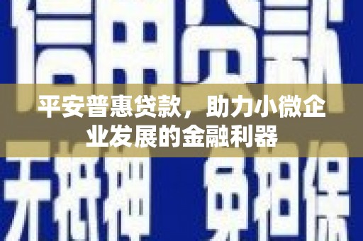 山西平安普惠贷款，助力小微企业发展的金融利器