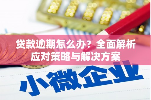 山西贷款逾期怎么办？全面解析应对策略与解决方案