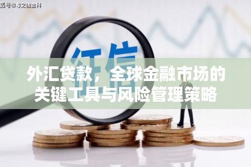 山西外汇贷款，全球金融市场的关键工具与风险管理策略
