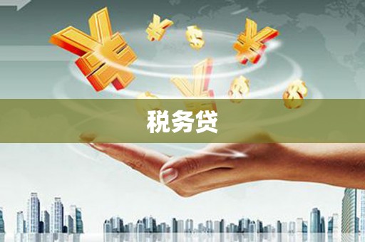 山西税务贷